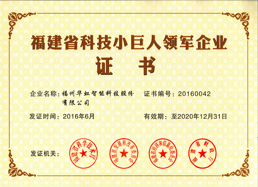 福建省科技小巨人領(lǐng)軍企業(yè)證書